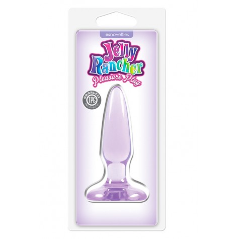 Фиолетовая анальная мини-пробка Jelly Rancher Pleasure Plug Mini - 8,1 см.